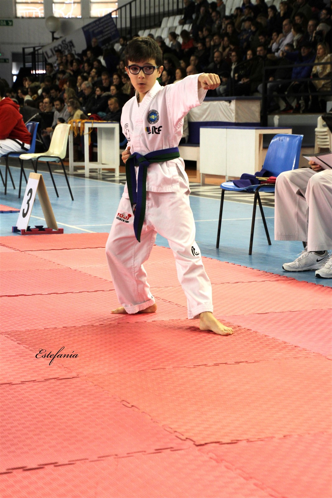 Taekwondo (121).jpg
